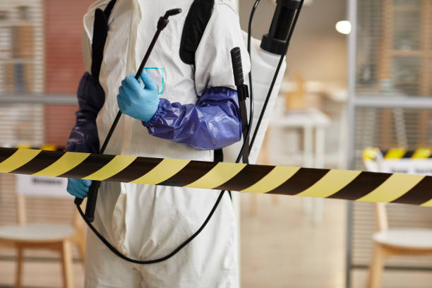 Professional Sewage Cleanup technician working in Princeville, HI
